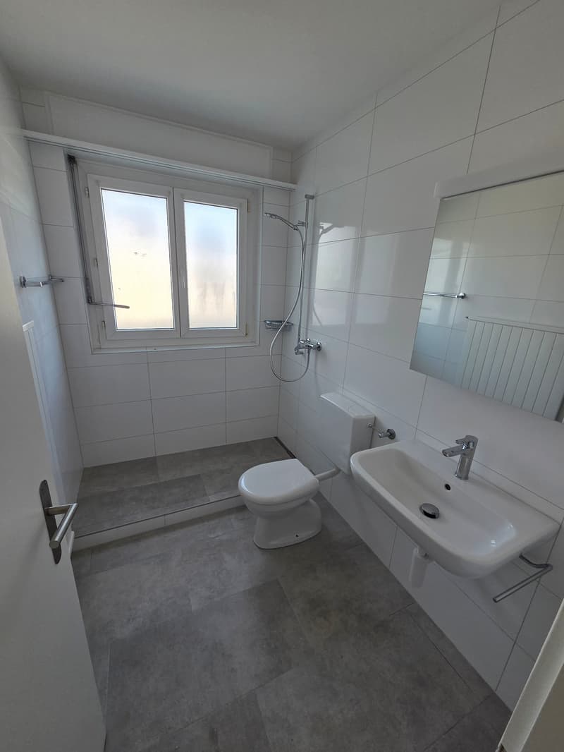 RUHIGE 4-Zimmer-Attikawohnung in kleinem Mehrfamilienhaus (3)