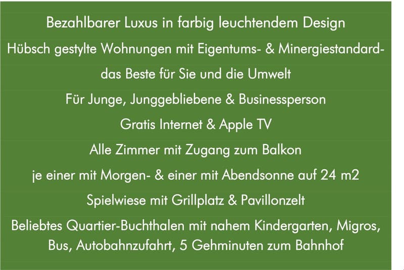 Hübsche 3.5-Zi. Wohnung sucht neuen Mieter (7)