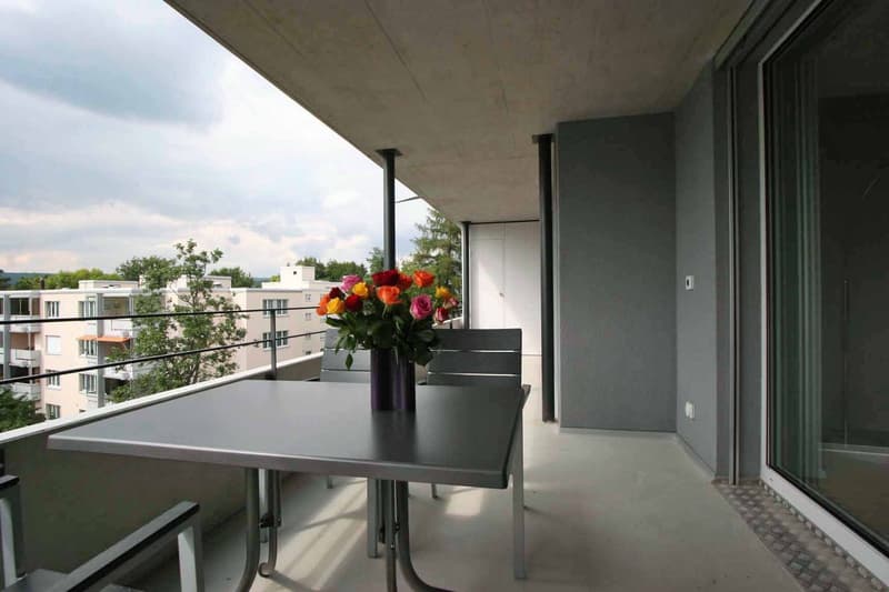 Stilvolle Wohnung sucht neuen Mieter (7)