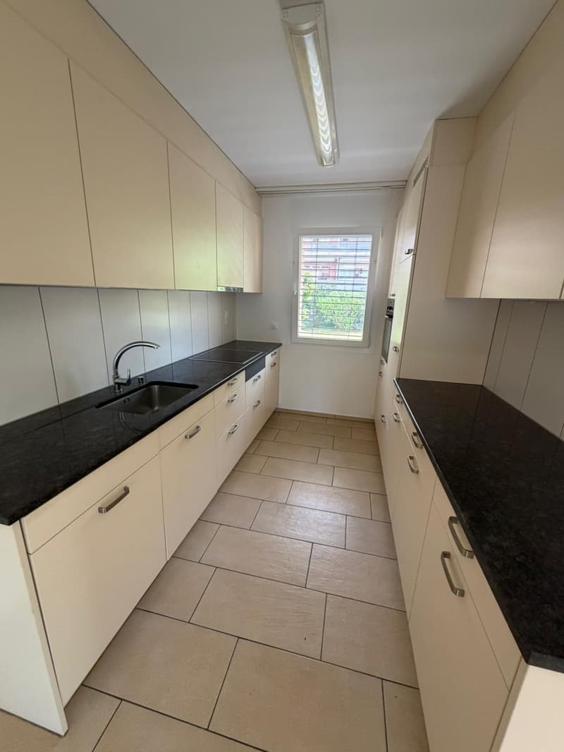 Helle, luftige 3.5-Zimmer-Wohnung im Erdgeschoss mit grossem Sitzplatz und Gartenanteil (1)