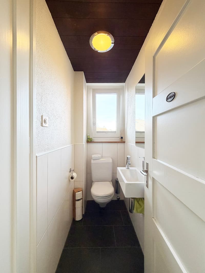 small bathroom with white walls, white toilet, sink, mirror, ceiling lamp