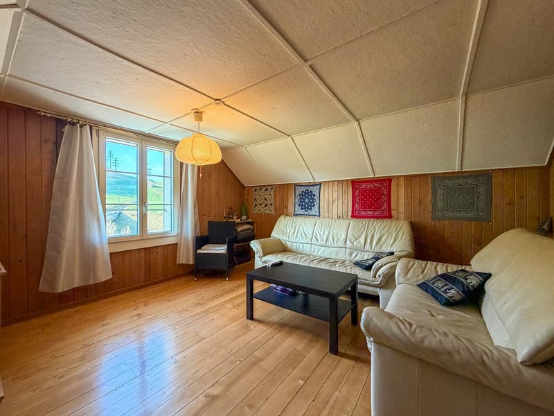 Zweifamilienhaus auf grossem Grundstück (35)