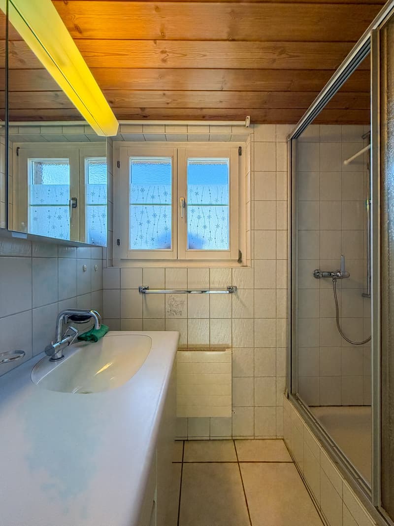 Zweifamilienhaus auf grossem Grundstück (28)