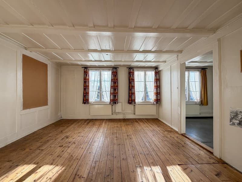 Zweifamilienhaus auf grossem Grundstück (22)
