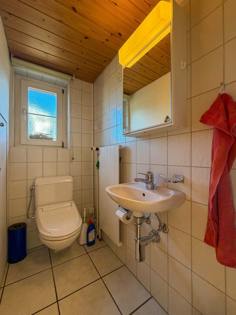 Zweifamilienhaus auf grossem Grundstück (27)