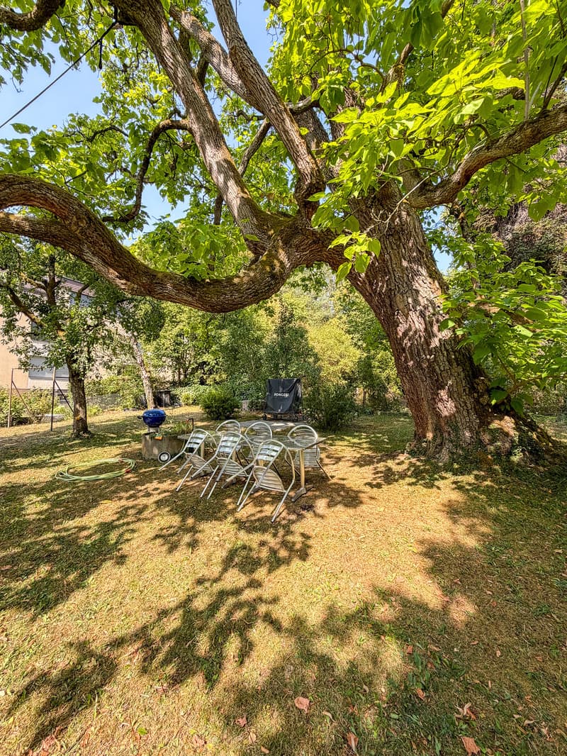 Eigenheim mit Balkon und Garten, Murifeld Bern (20)
