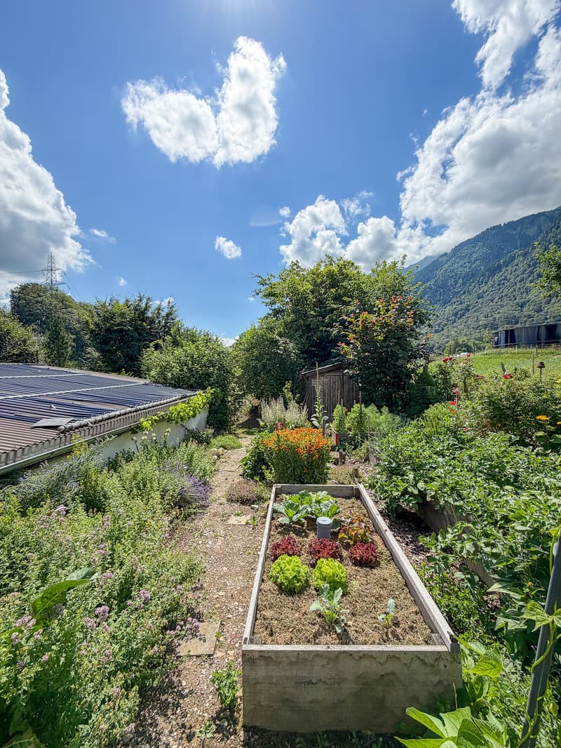 Grosses Grundstück mit Ausbaupotential, Pohlern (7)