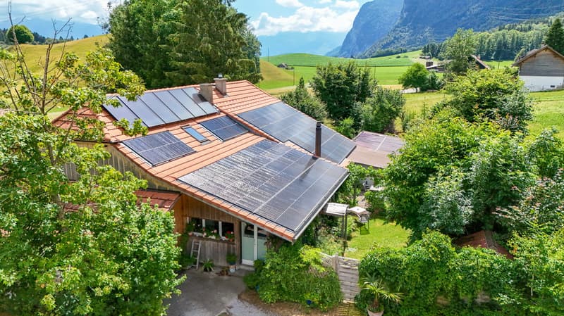Grosses Grundstück mit Ausbaupotential, Pohlern (6)