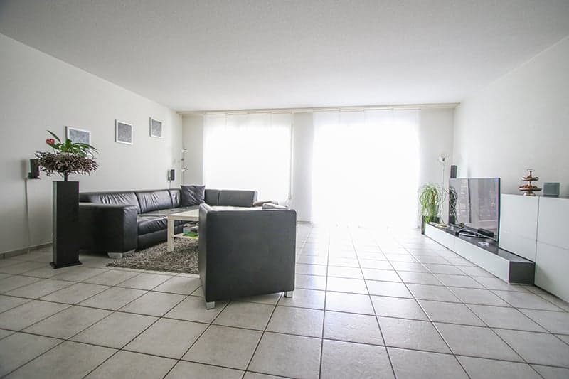 Living room: 2 couches, coffee table, tv, floor to ceiling windows, 2 picture frames, 2 vases with plants