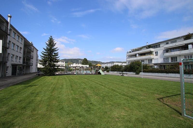 Large lawn, a few trees, playground with slides and swings, some benches, and a soccer goal.