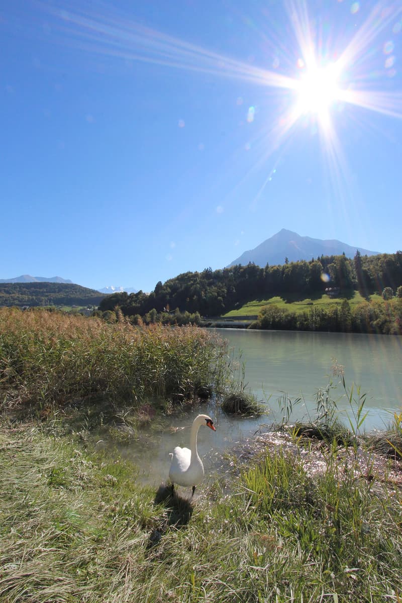 Umgebung: Entspannen am nahen Stauweiher