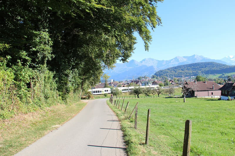 Umgebung:  Spaziergang im Grünen am Riedernweg