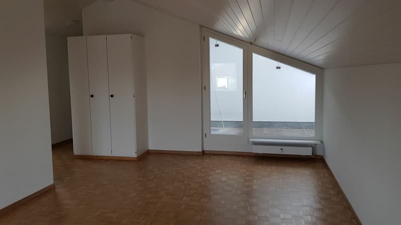 Cozy attic apartment (4)