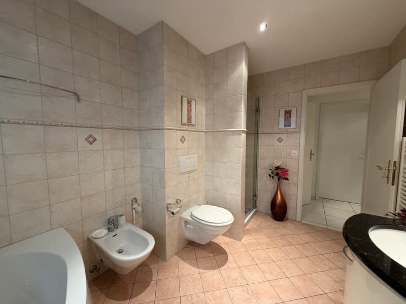 white walls, tiled floor, bidet, toilet, shower stall, bathtub, sink, faucet, flower vase, picture frames
