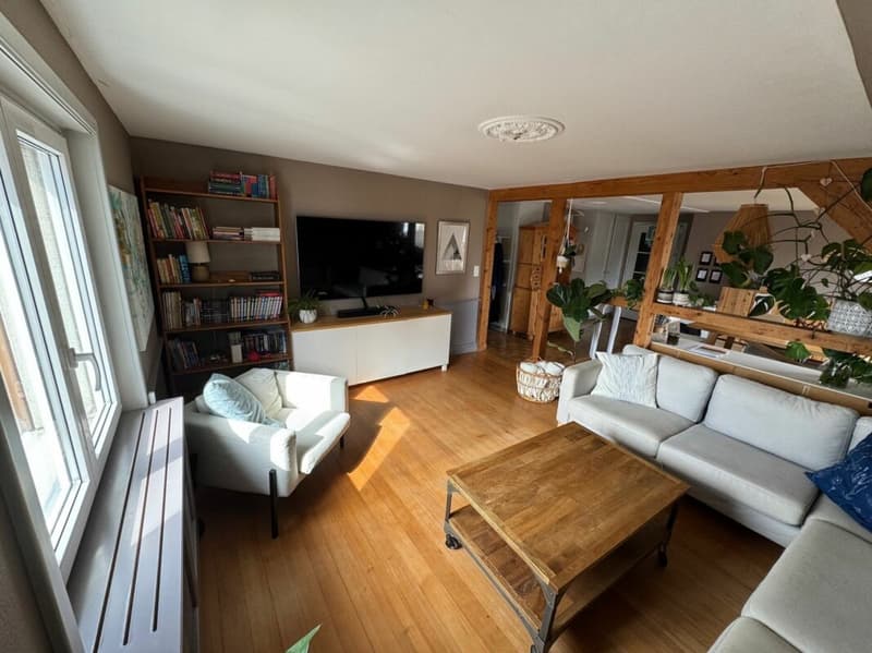 Cozy living on the outskirts of Murten (4)