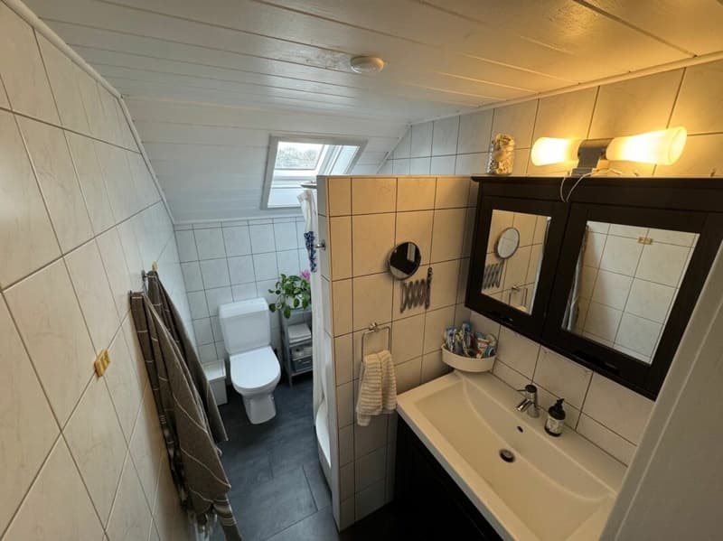 Cozy living on the outskirts of Murten (11)