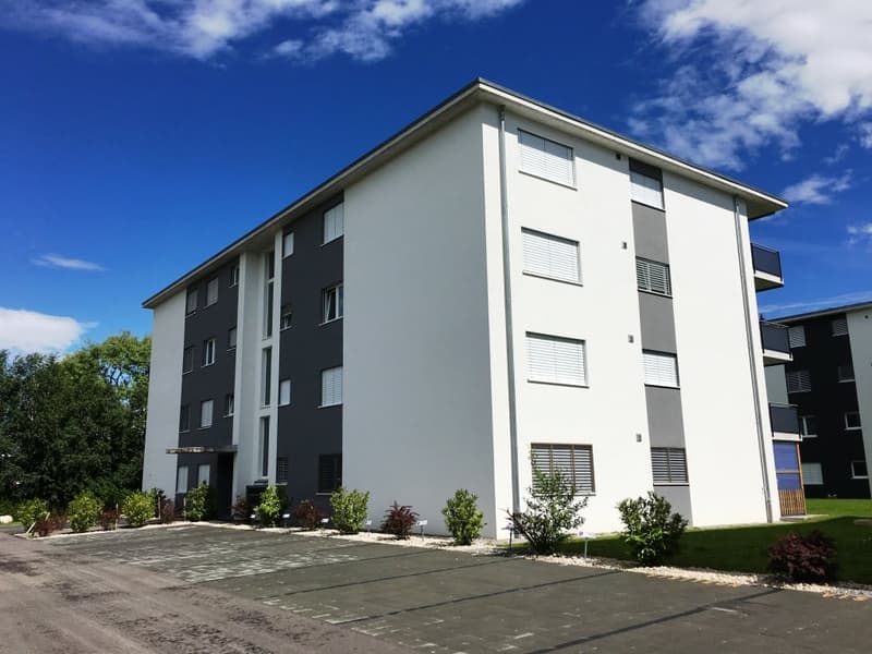 modern apartment building, white and gray exterior, multiple windows, parking lot in front