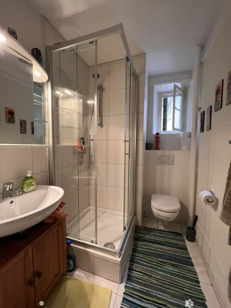 Gemütliche 3-Zimmer-Stadtwohnung (3)