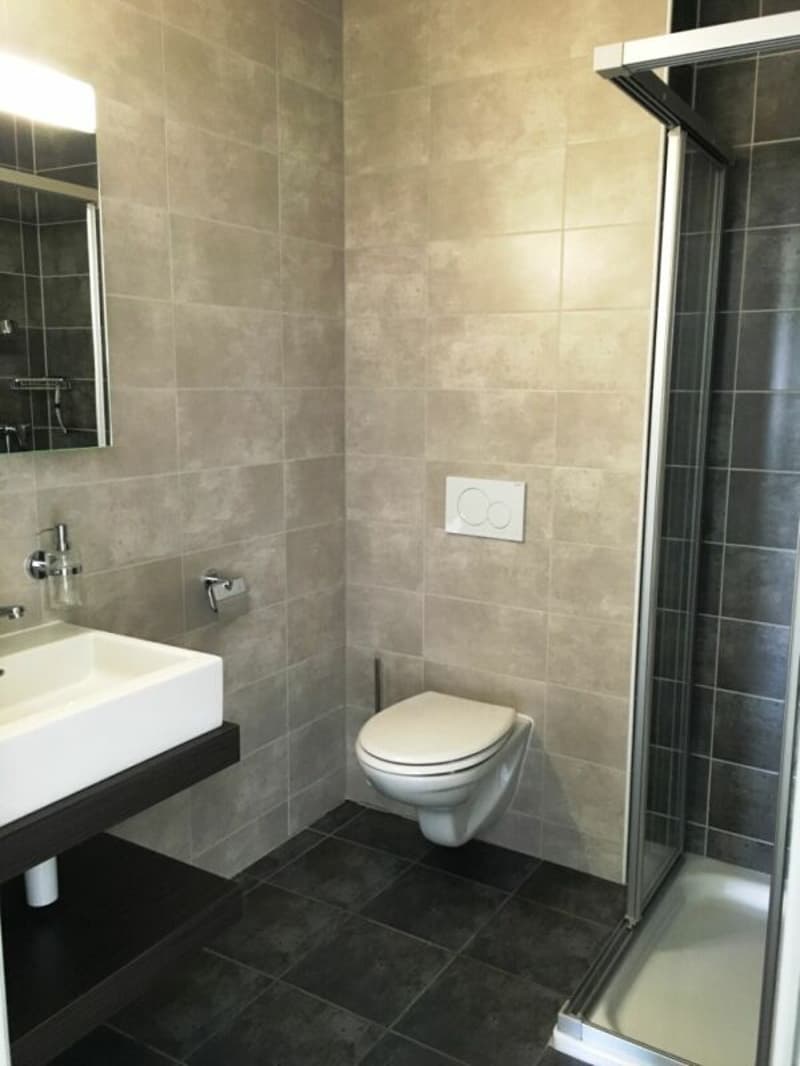 Appartement neuf avec situation tranquille (8)