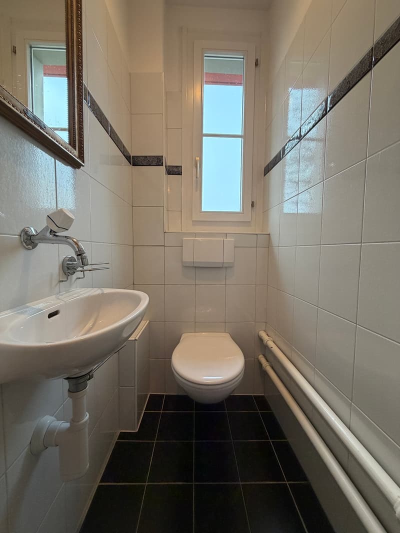 Charmante 4.5-Zimmer-Dachwohnung im historischen Bern (7)