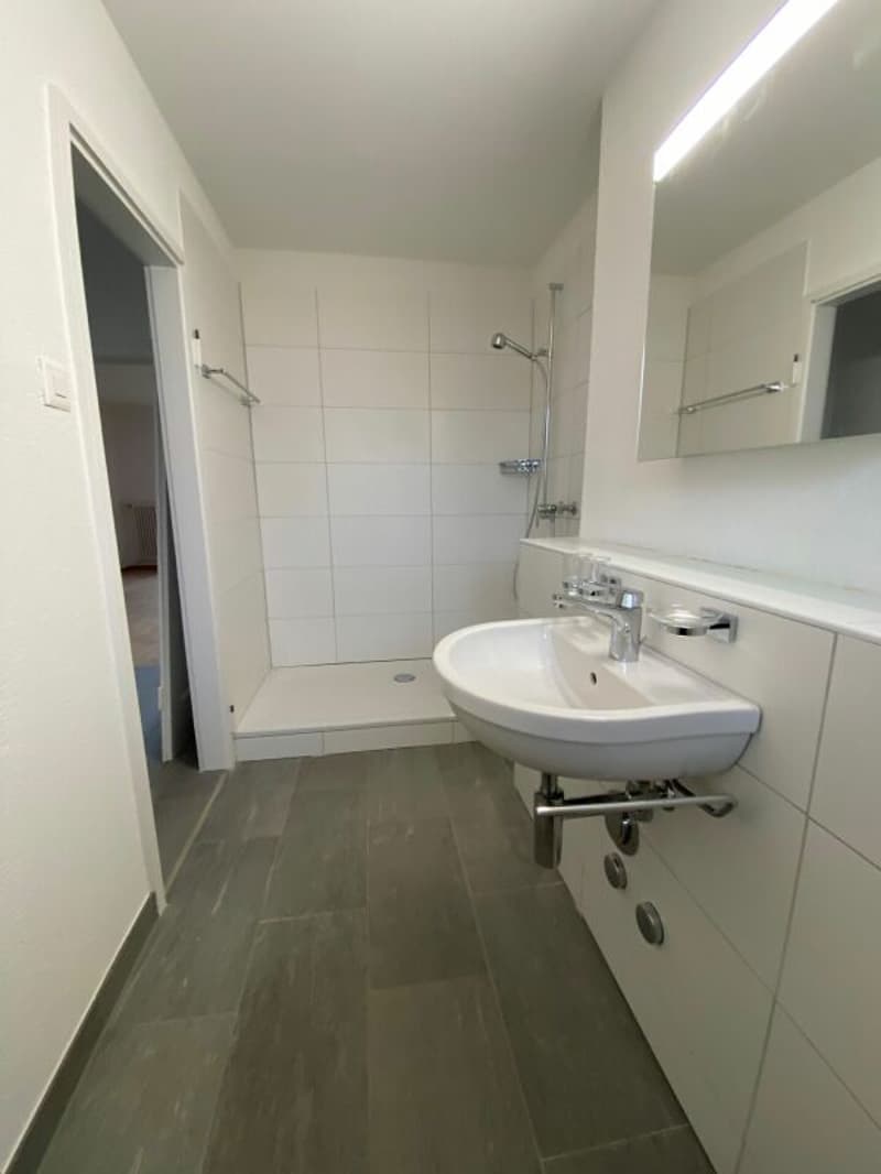 Weissenbühlquartier - zentral und schön wohnen (6)