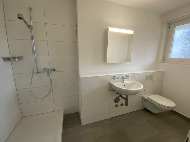 Weissenbühlquartier - zentral und schön wohnen (7)