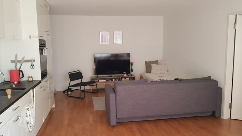 2-Zimmer-Wohnung zu vermieten im Haus zur Drachenmühle (4)