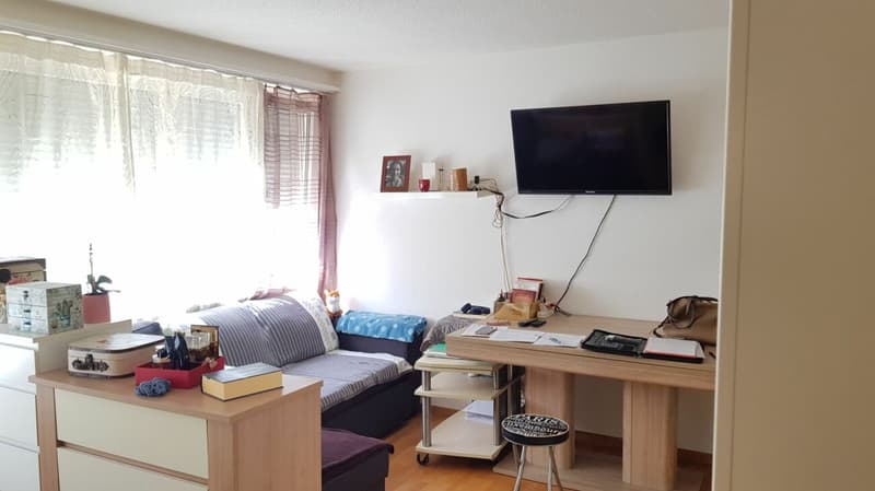 Ihre neue 1-Zimmer-Wohnung (6)