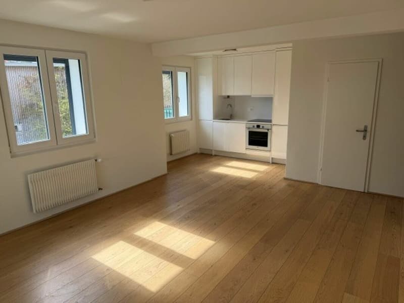 3.5-Zimmer-Wohnung an zentraler Lage zu vermieten (2)