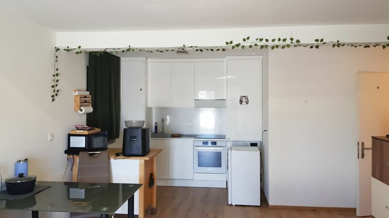 3.5-Zimmer-Wohnung an zentraler Lage zu vermieten (3)