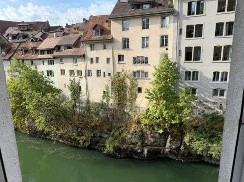 Blick auf die Aare