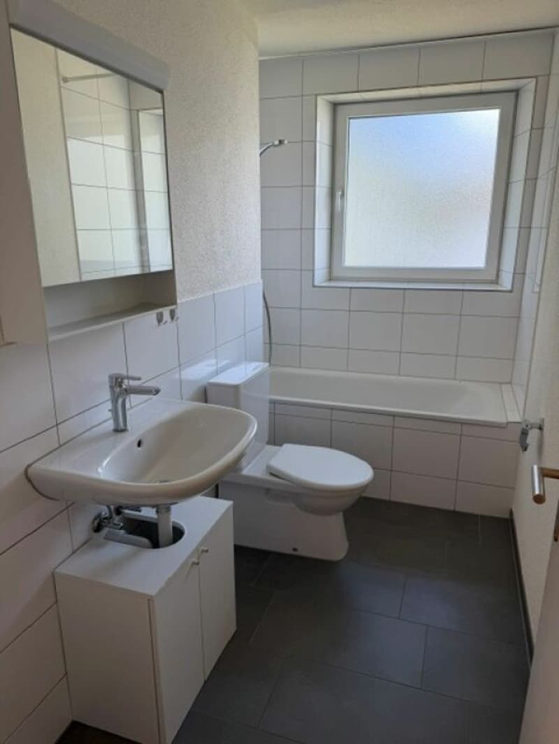 Weinsteig 61, 8200 Schaffhausen (8)