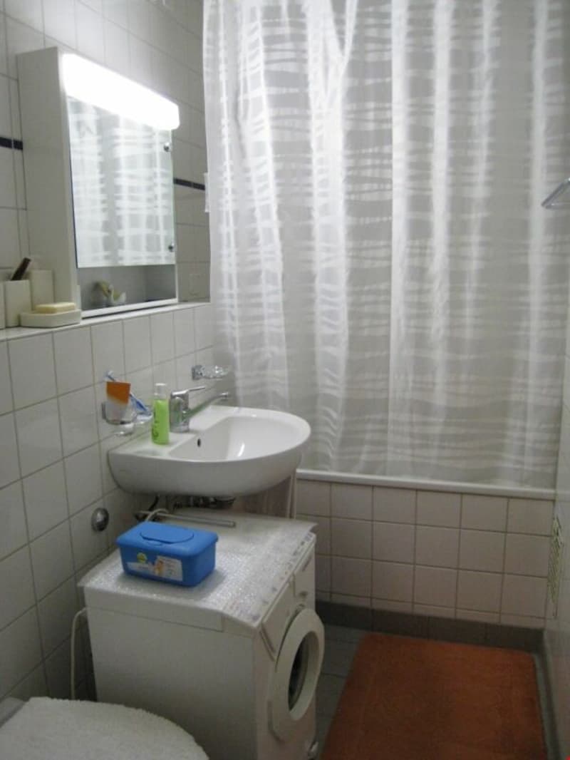 Geräumige Wohnung im Weissenbühlquartier! (8)