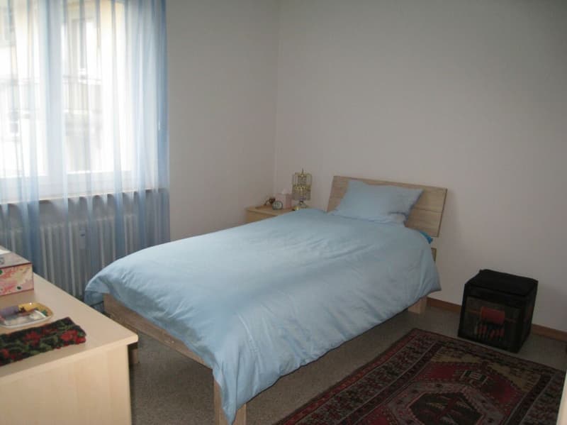 Geräumige Wohnung im Weissenbühlquartier! (7)