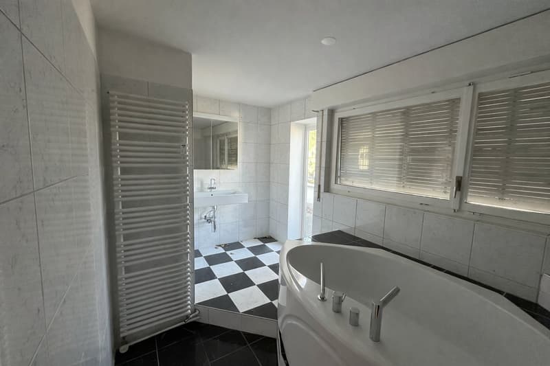 Grosszügige 6.5-Zimmer-Attikawohnung mit drei Terrassen (16)