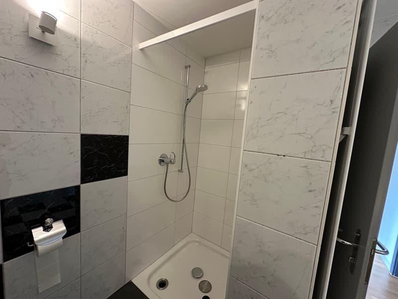 white marble tiled walls, small shower cubicle, shower head and hose, silver faucet, toilet paper holder