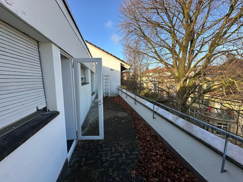 Exposed brick wall, open door to balcony, paved balcony with metal railing, ladder, and dried leaves.