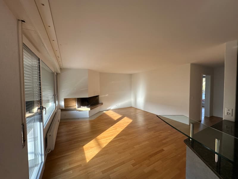 wooden floor, white walls, fireplace, glass windows, shadow