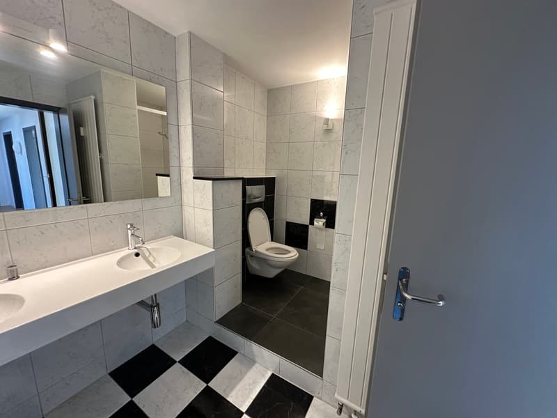 white and black tiled, dual sinks, mirror, open shower, toilet, no visible appliances