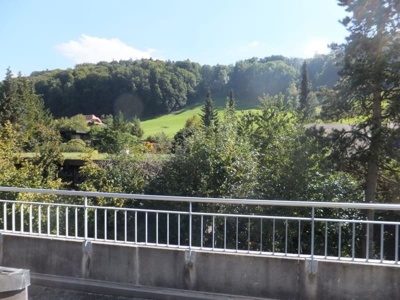 Gosszügige Attikawohnung an sehr ruhiger Lage in Kehrsatz (2)