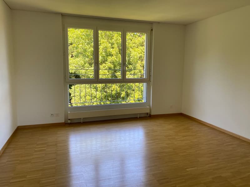 Elegante 4 1/2-Zimmer-Attika-Wohnung (7)