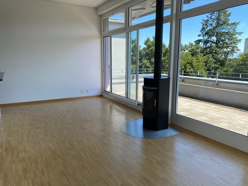 Elegante 4 1/2-Zimmer-Attika-Wohnung (2)