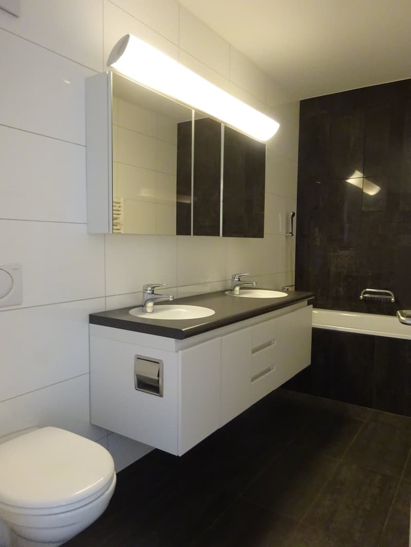 Elegante 4 1/2-Zimmer-Attika-Wohnung (5)