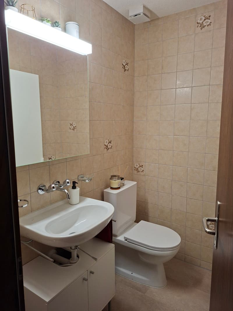 Grosszügige 4.5-Zimmer-Wohnung in ruhiger Lage (9)