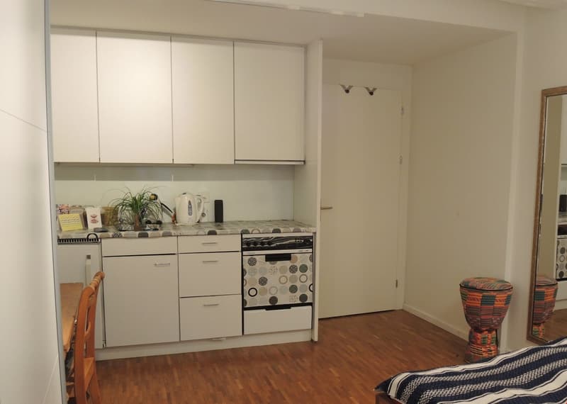 Charmante 2-Zimmerwohnung mit Gartennutzung im beliebten Marzili-Quartier (3)