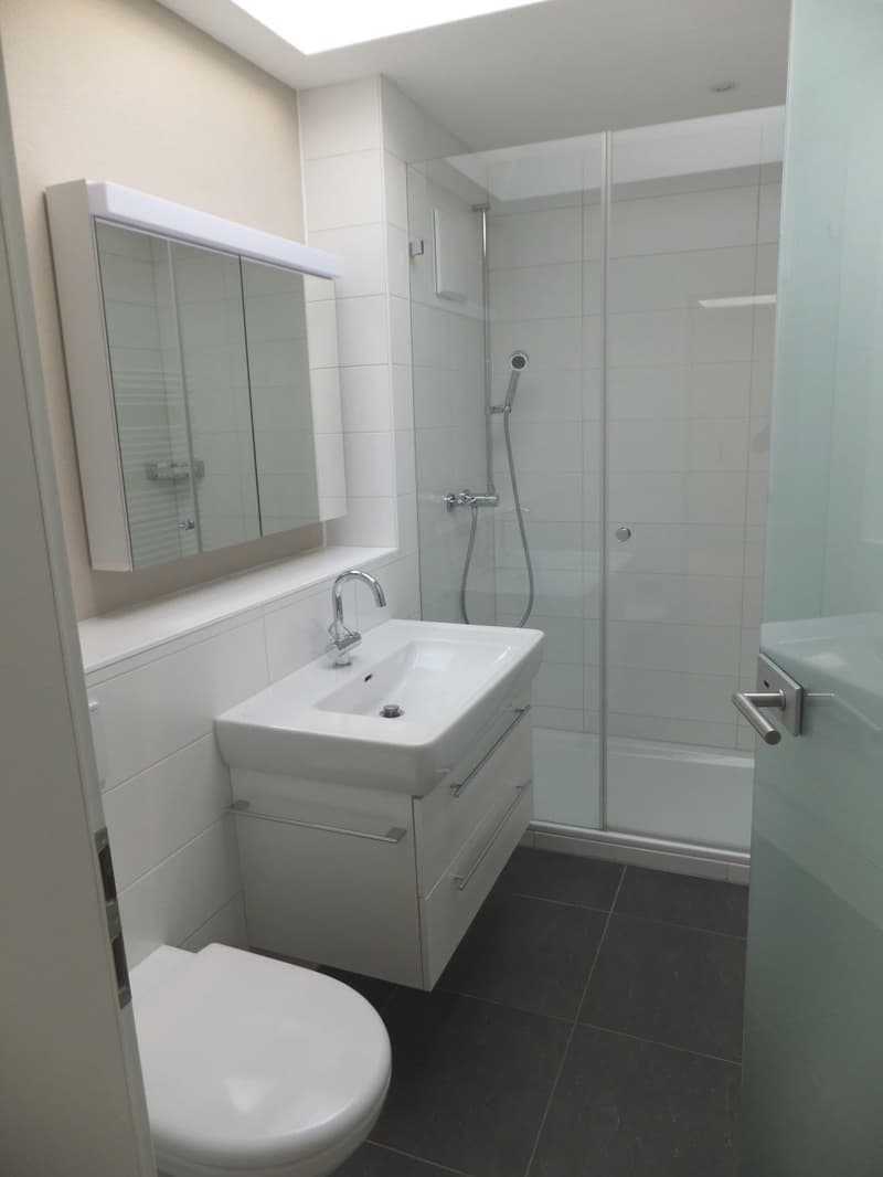 Elegante Dachwohnung im begehrten Kirchenfeld-Quartier (4)