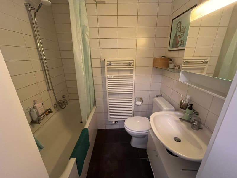 Charmante 2-Zimmer-Wohnung an der Eigerstrasse in Bern (3)