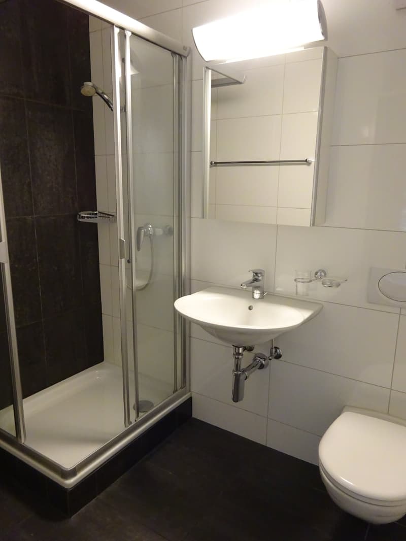 Elegante 5 1/2-Zimmerwohnung im Ostring (5)