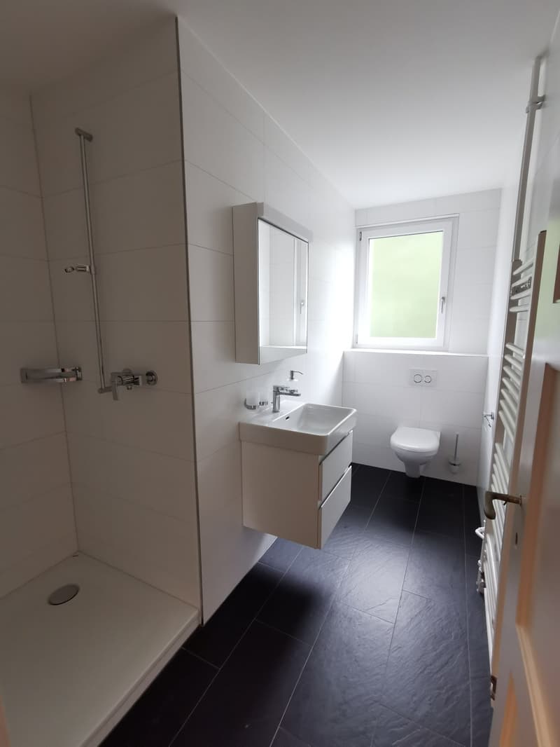 Schöne 2-Zimmerwohnung im beliebten Breitenrainquartier (6)