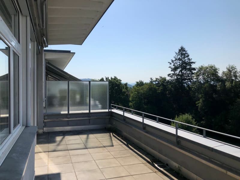Elegante 3.5-Zimmerwohnung nahe Botschaftsviertel (3)